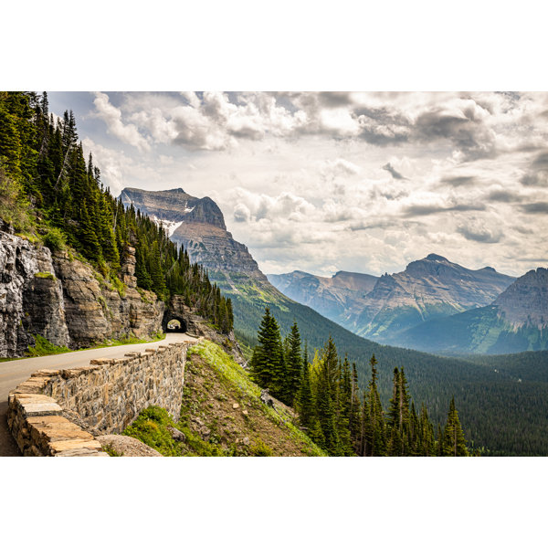 Millwood Pines Glacier National Park Wrapped Canvas Photograph Wayfair